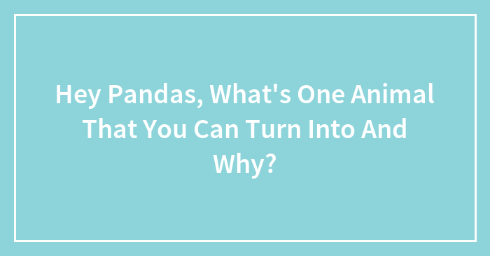 Hey Pandas, What’s One Animal That You Can Turn Into And Why?
