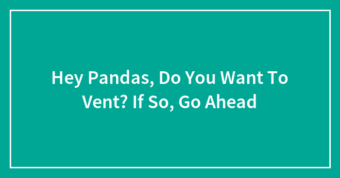 Hey Pandas, Do You Want To Vent? If So, Go Ahead
