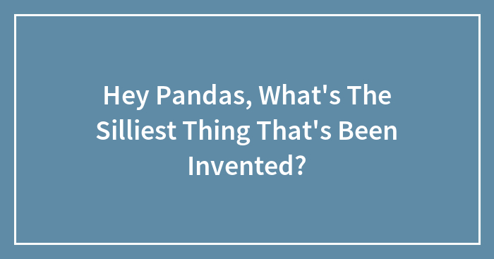 Hey Pandas, What’s The Silliest Thing That’s Been Invented? (Closed)