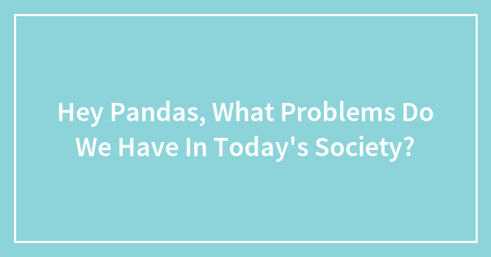Hey Pandas, What Problems Do We Have In Today’s Society? (Closed)