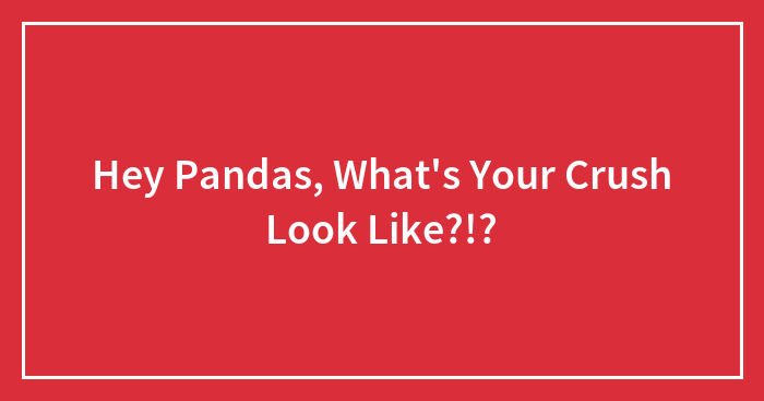 Hey Pandas, What’s Your Crush Look Like?!?