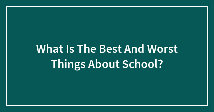 What Is The Best And Worst Things About School?