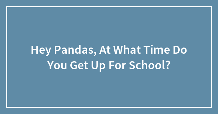 Hey Pandas, At What Time Do You Get Up For School?