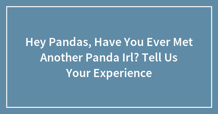 Hey Pandas, Have You Ever Met Another Panda Irl? Tell Us Your Experience