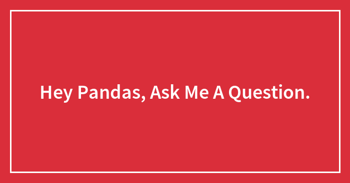 Hey Pandas, Ask Me A Question.