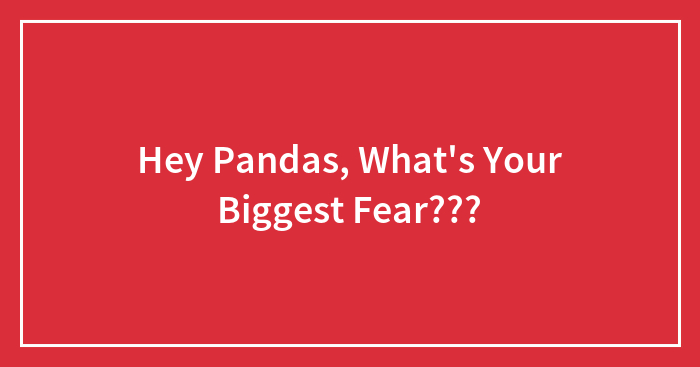 Hey Pandas, What’s Your Biggest Fear???