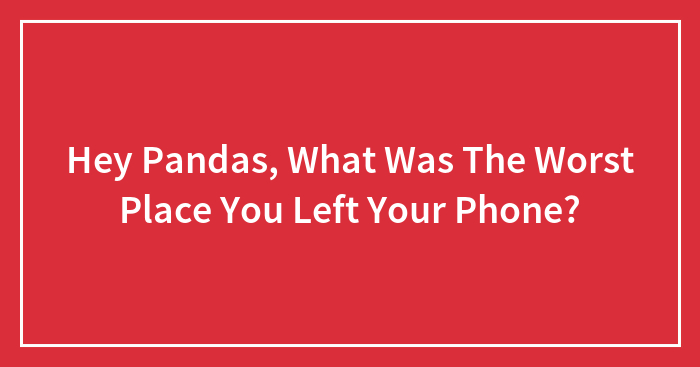 Hey Pandas, What Was The Worst Place You Left Your Phone? (Closed)