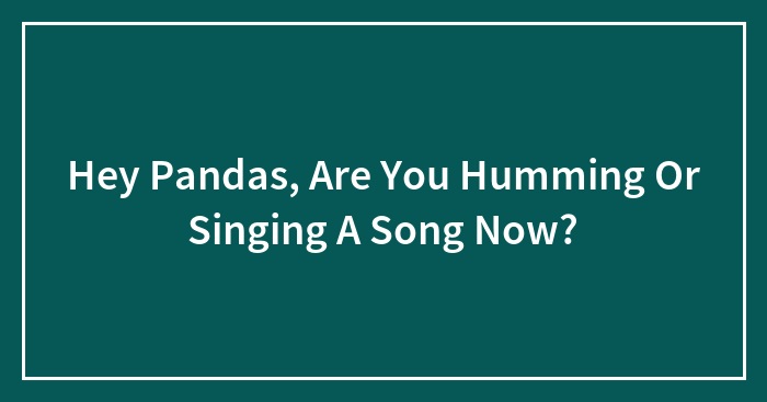 Hey Pandas, Are You Humming Or Singing A Song Now?