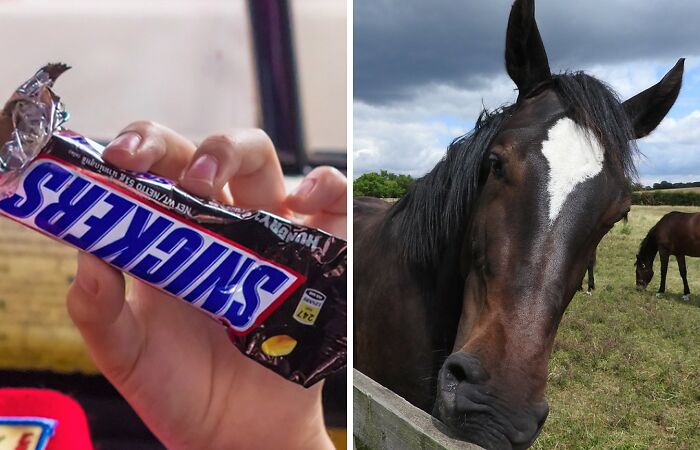 People Are Pleasantly Surprised After Learning The Story Behind Snickers’ Odd Name