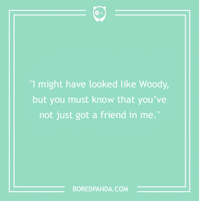 Cowboy joke quote on mint green background about looking like Woody.