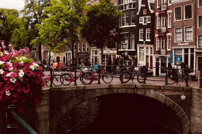 Bicycles parked near a canal bridge in Amsterdam during daytime, showcasing culture facts reflecting the diversity of the world.