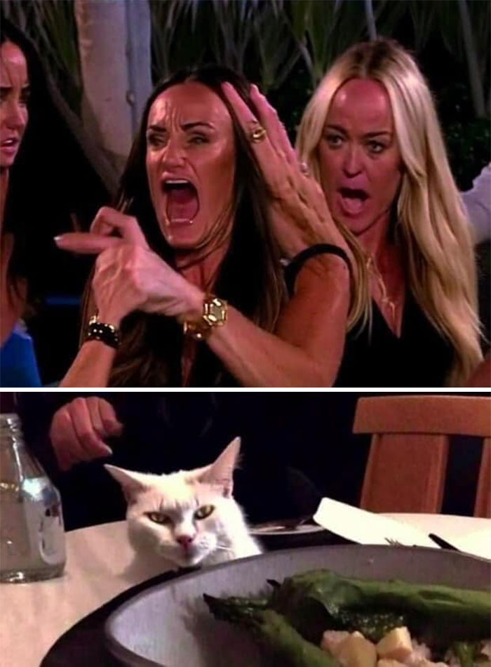 Women yelling at a confused cat at the dinner table, showcasing hilarious AI-generated meme humor.