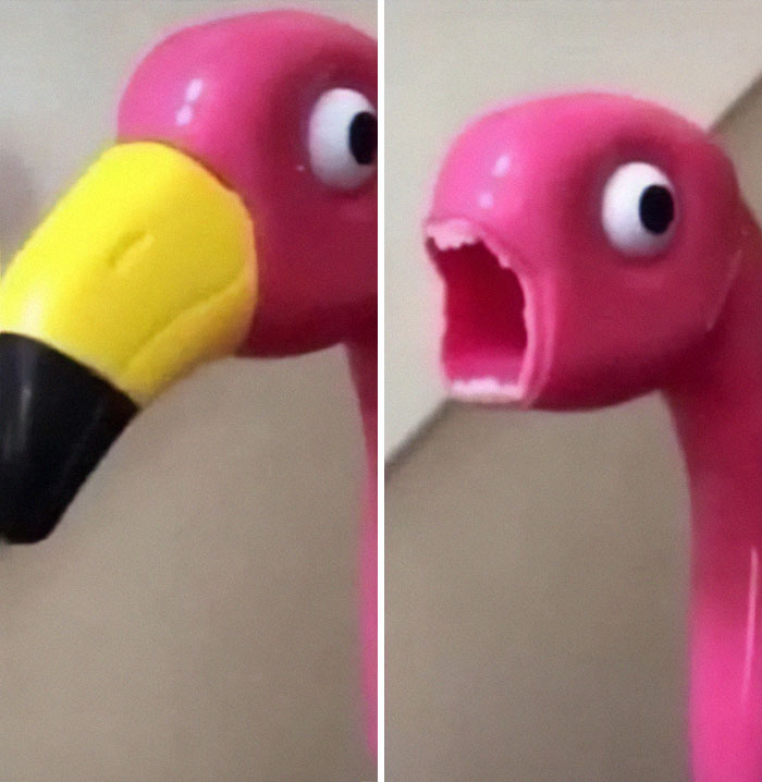 Cursed-Blessed-Blursed-Images