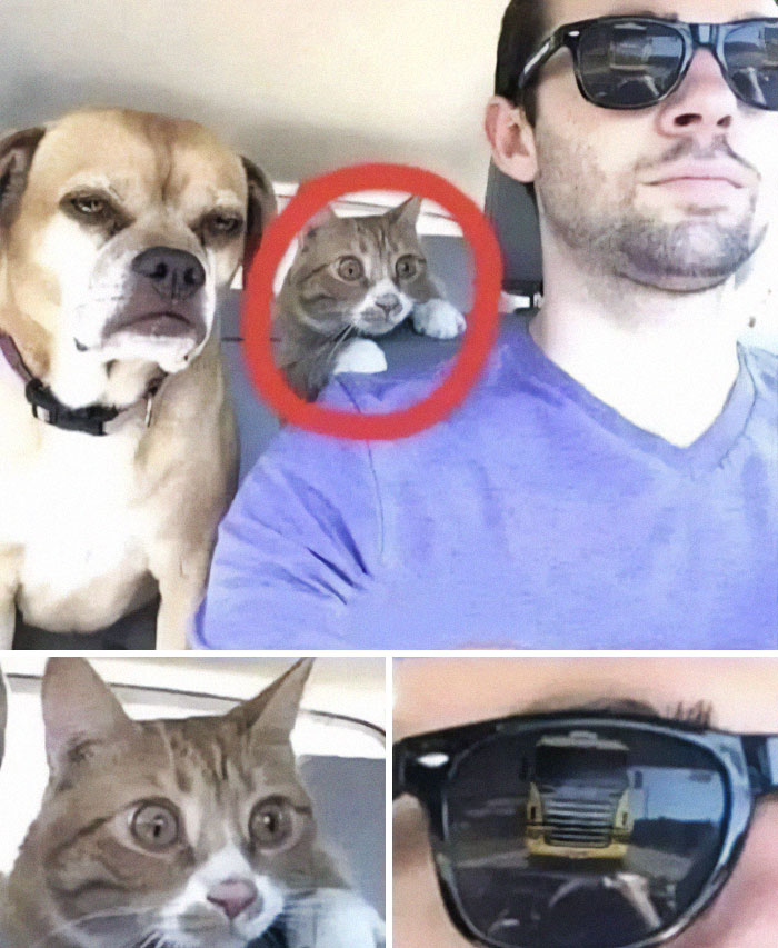 Cursed-Blessed-Blursed-Images