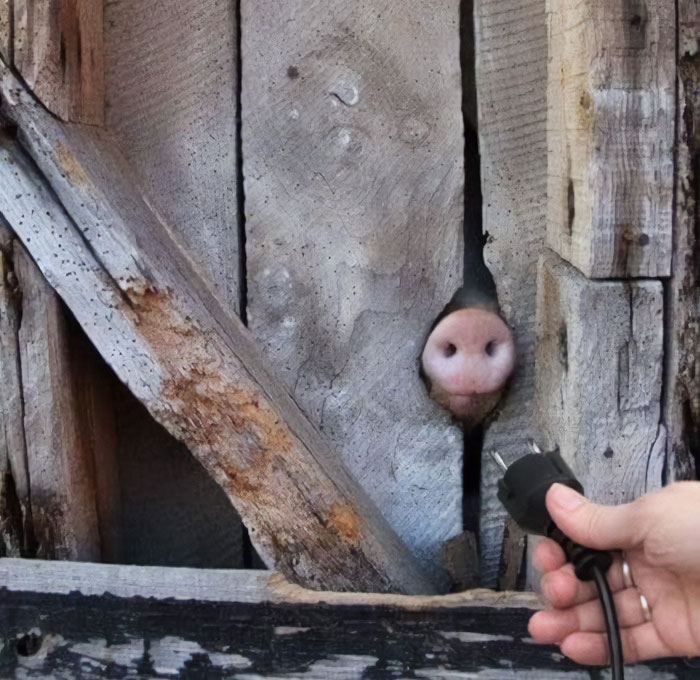 Cursed-Blessed-Blursed-Images