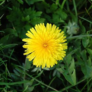 delilah-jackson0321 avatar