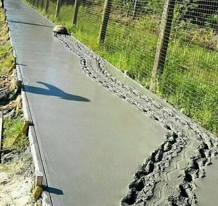 50 Images For Those Venturing Beyond The Blessings Of The Internet (New Pics)