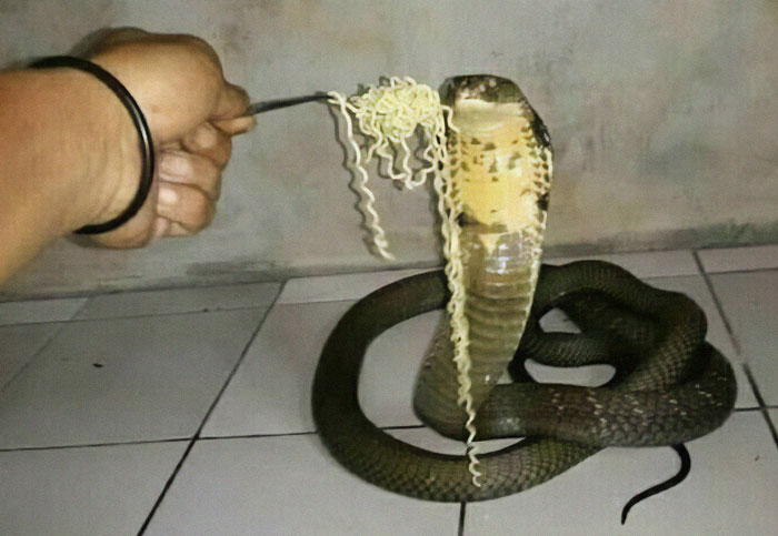 50 Images For Those Venturing Beyond The Blessings Of The Internet (New Pics)