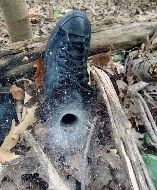 Disturbing-Cursed-Images