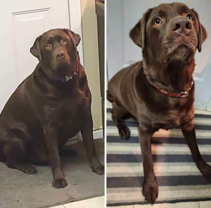 From Big Bear To Little Bear