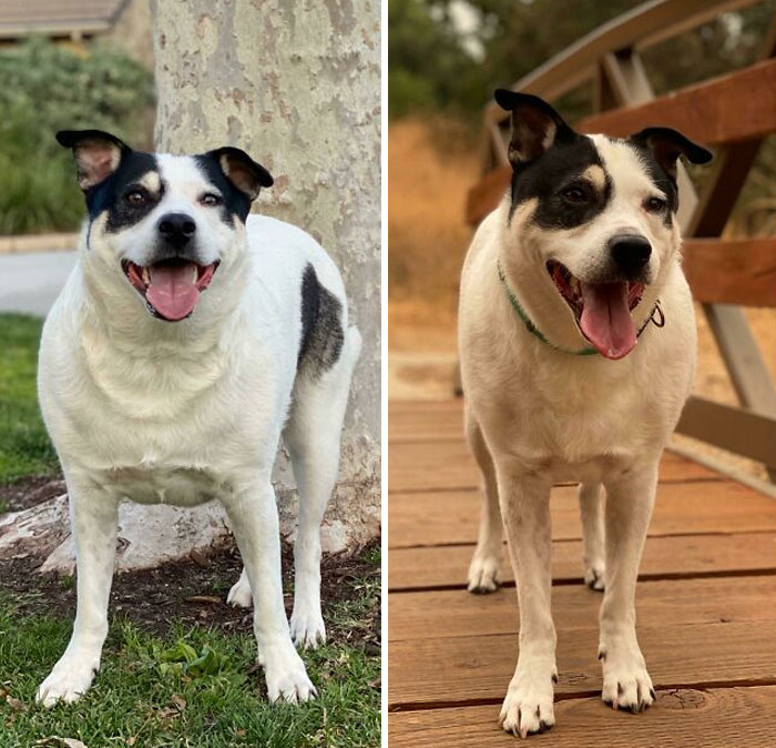 From 82 Pounds Down To 74! Still Got A Way To Go But Off To A Good Start