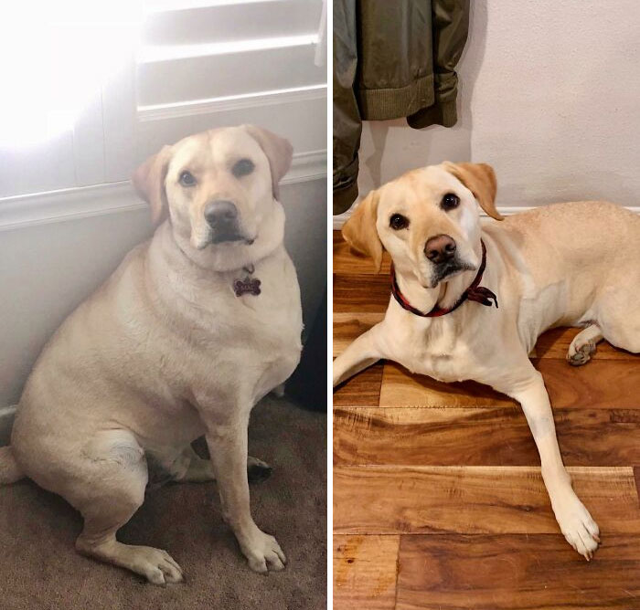 2 Years Later - Looking 2 Years Younger