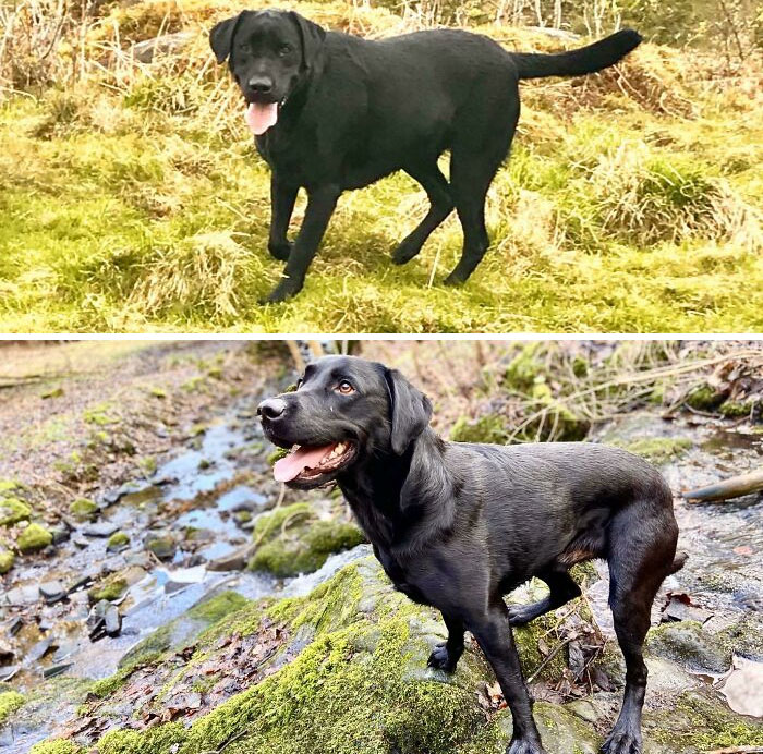 Slow And Steady Wins The Race