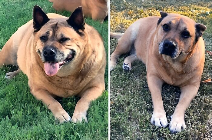 Look At My Baby. Jasmine Has Been On A Long Journey Since 2020