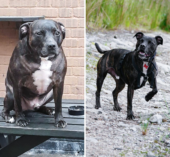 Did Someone Say Glow Up