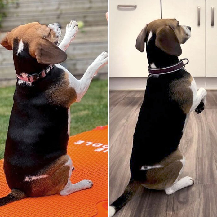 6-Month Transformation And Now I'm Thriving