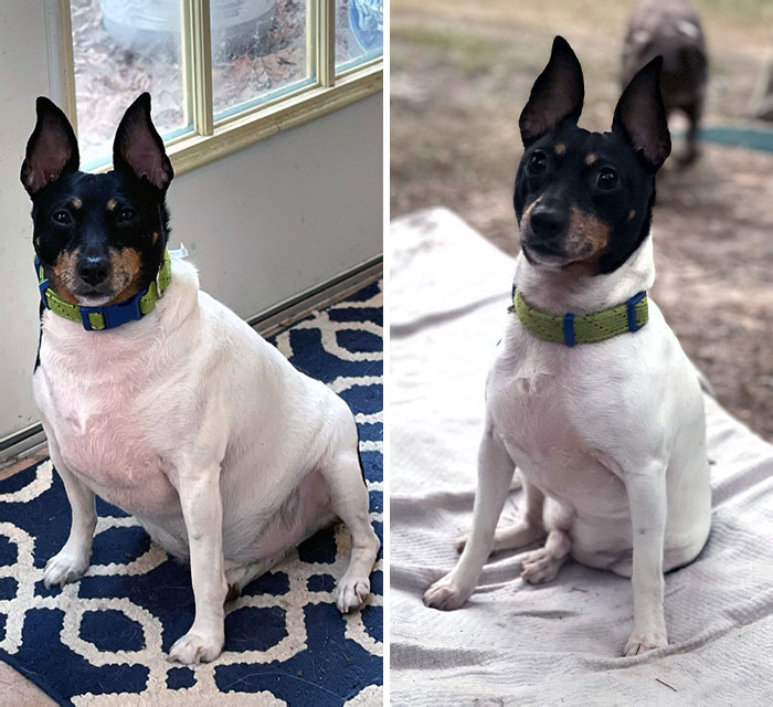 How It Started And How It's Going