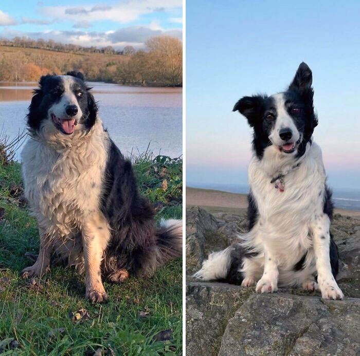 Target Weight Achieved