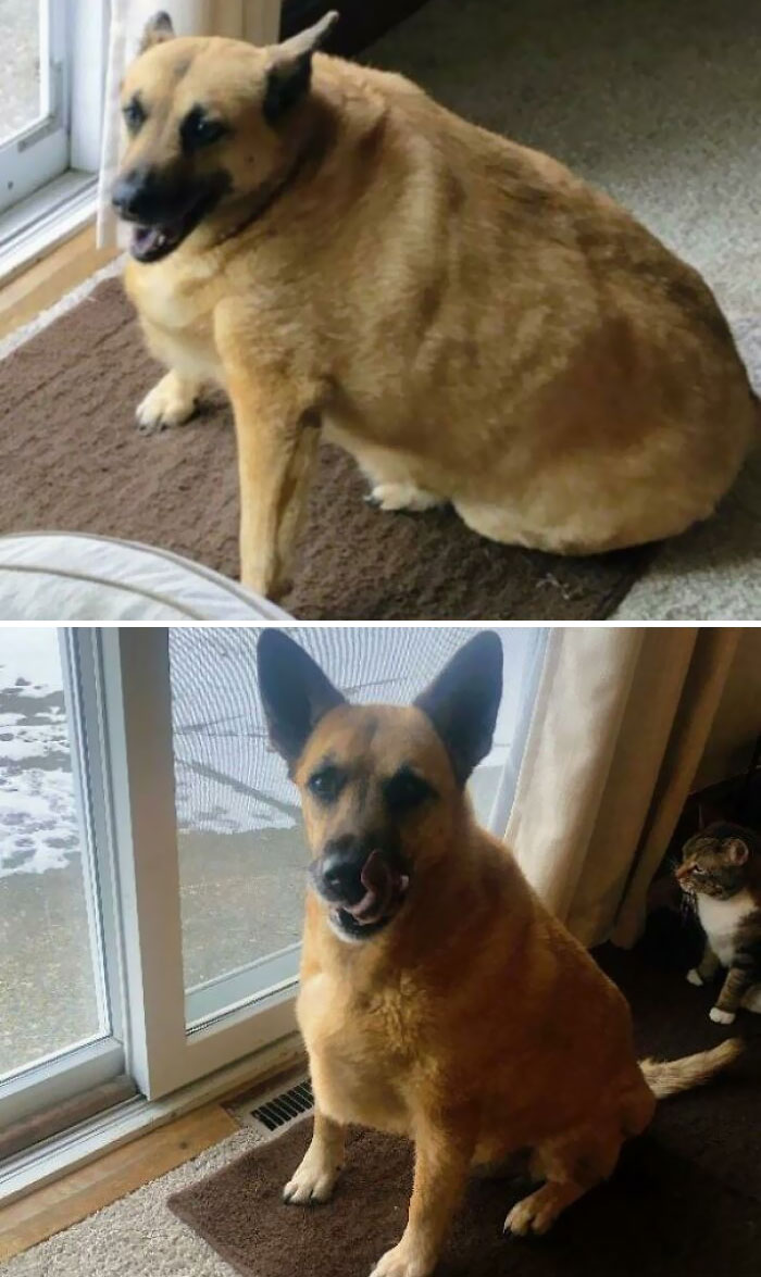 10 Months Post-Adoption, And 55 Lbs Lighter