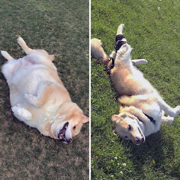 Still The Happiest Guy Around, I'm Just Less Round