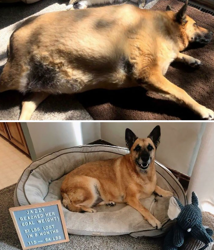Jazzy Reached Her Goal Weight