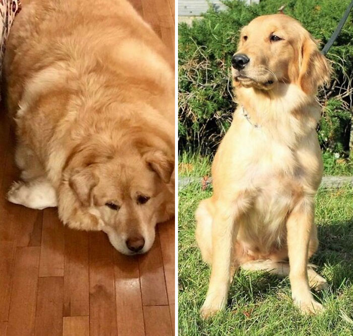 Lost A Little Bit Of Weight