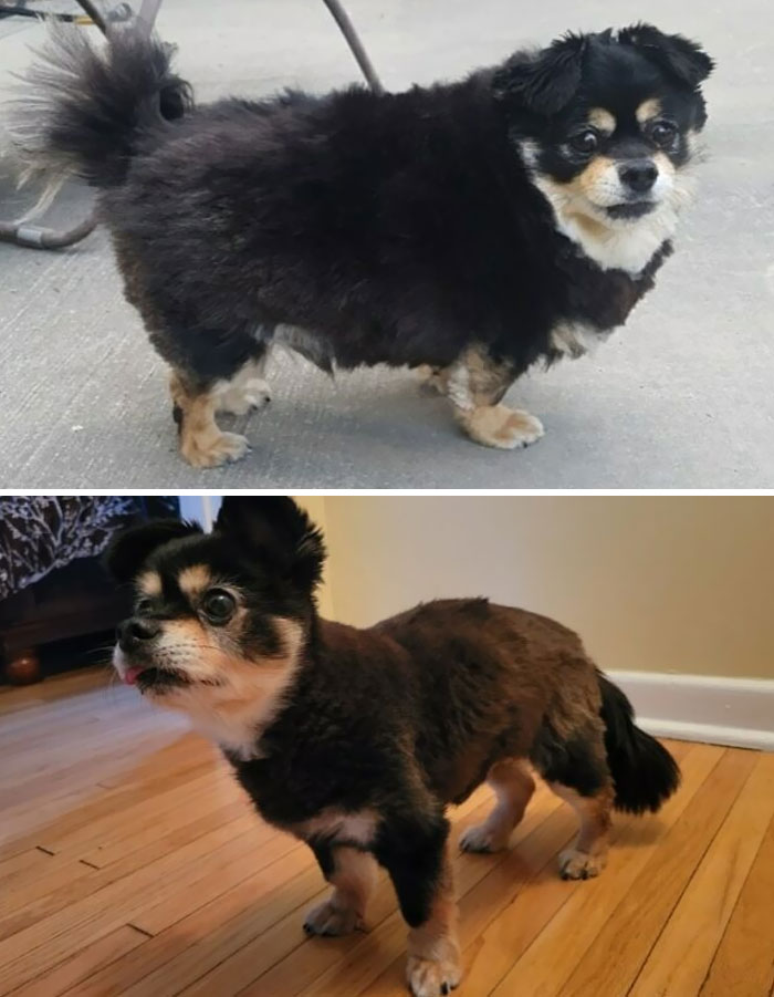 My Little Man Is Down To Half A Chonk