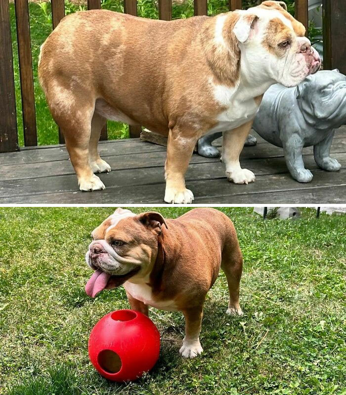 My Weight Loss Journey. Started At 61.2 Pounds. The Highest I’ve Ever Been. I Think I’m Off To A Great Start