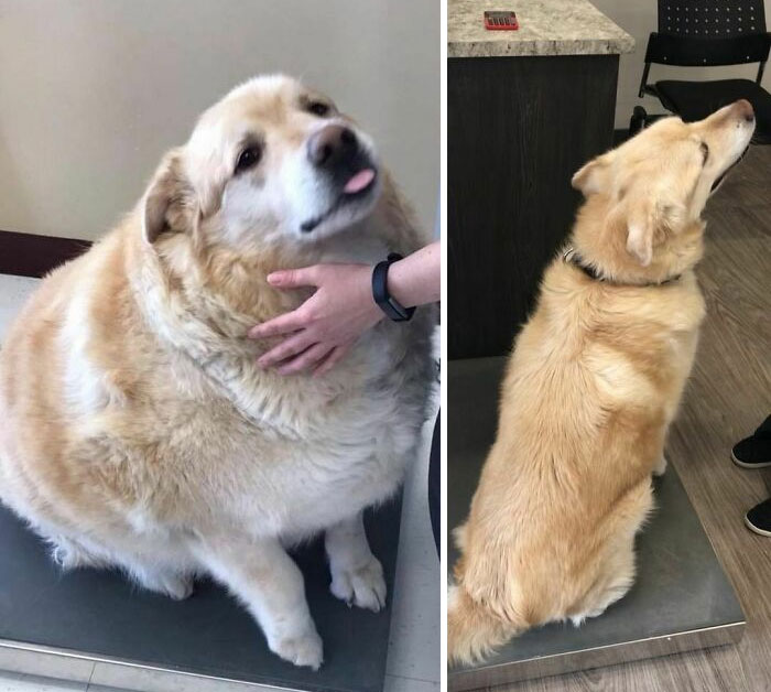 One Of My Earliest Weigh-Ins (March 2018) vs. A Healthy Weight Weigh-In (April 2019)