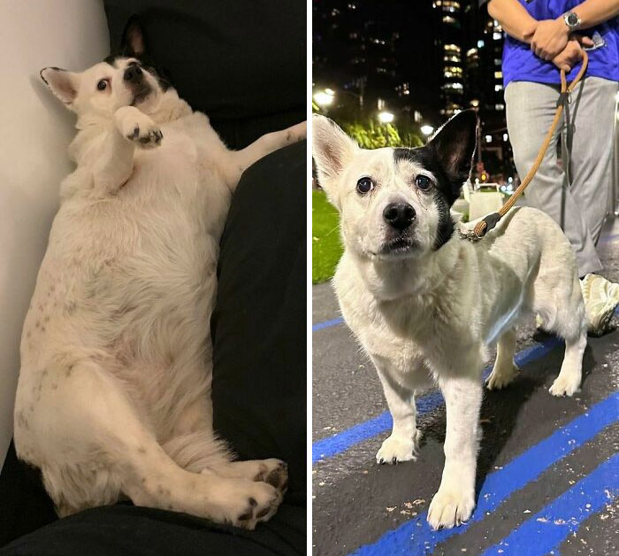 From “Help! Pull Me Up” To “You Need Help? I’ll Pull You Home”