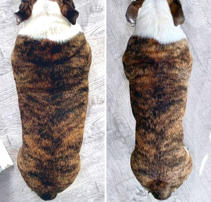 Same Wonton, Just Lots Of Exercise, An Improved Diet, And 12 Months Later