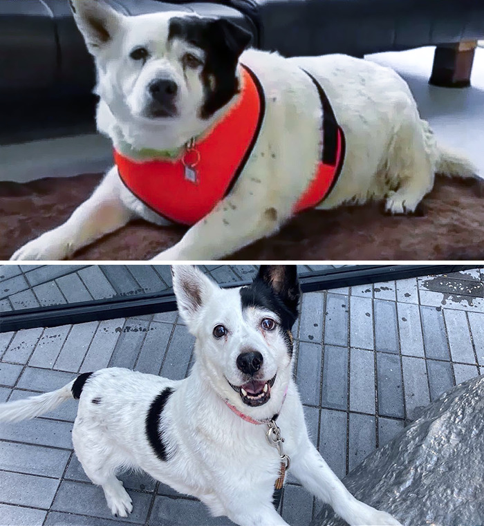 Squishy’s Eyes Have Lit Up Over The Years