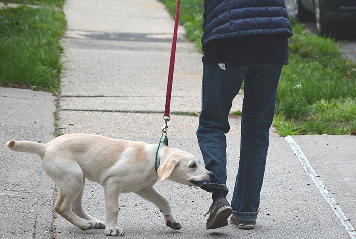 “There Was A Legal Age For Caffeine”: 50 Hilariously Silly Things People Believed To Be True