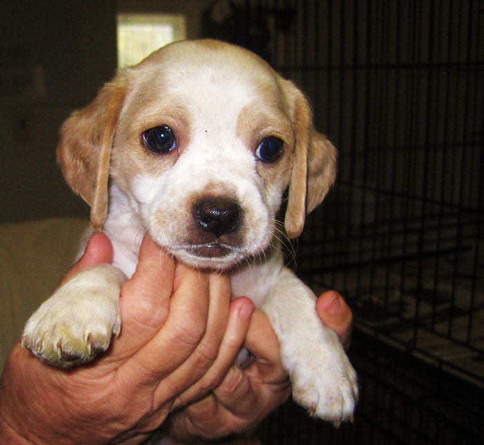 “There Was A Legal Age For Caffeine”: 50 Hilariously Silly Things People Believed To Be True