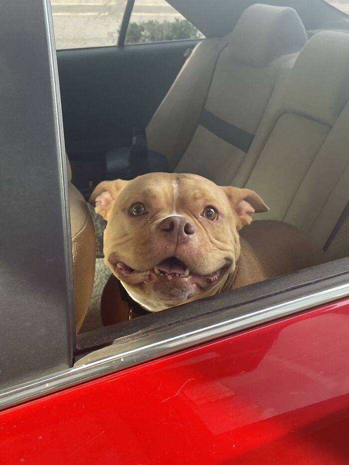 Cutie In Drive Thru Made My Day :)