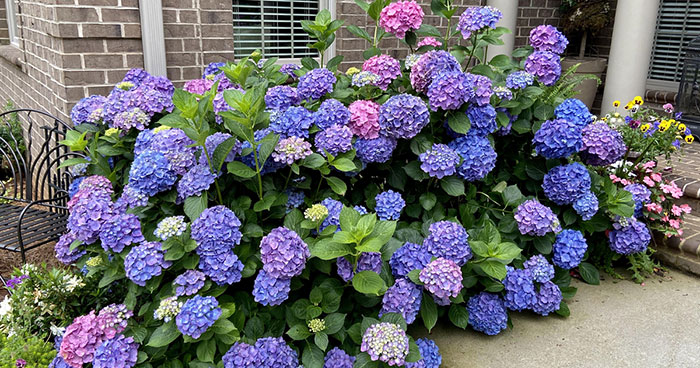 “Bought The Property, Landscaping Included”: Woman Shocked By Ex-Homeowner’s Request 2 Years Later