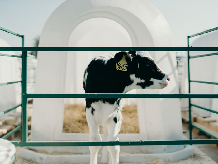 35 Surprising Companies That Are A Lot More Evil Than Meets The Eye