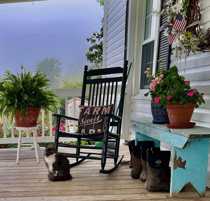 Old black chair with pillow cat near and flowers with boots Old black chair with pillow cat near and flowers with boots