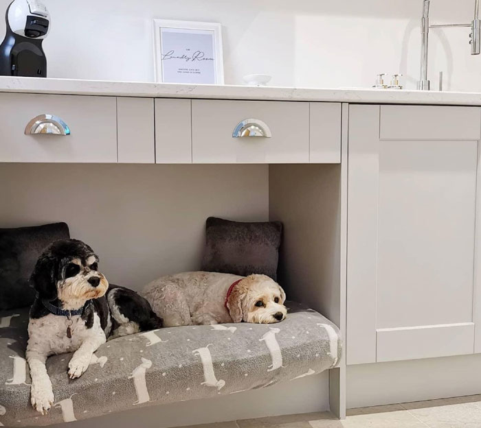 Dogs resting at house made in cupboards Dogs resting at house made in cupboards