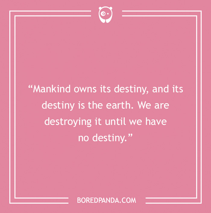 Frida Kahlo quote on destiny displayed on a pink background highlighting art, love, and embracing the struggle. - 3